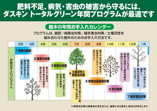 樹木の年間お手入れカレンダー